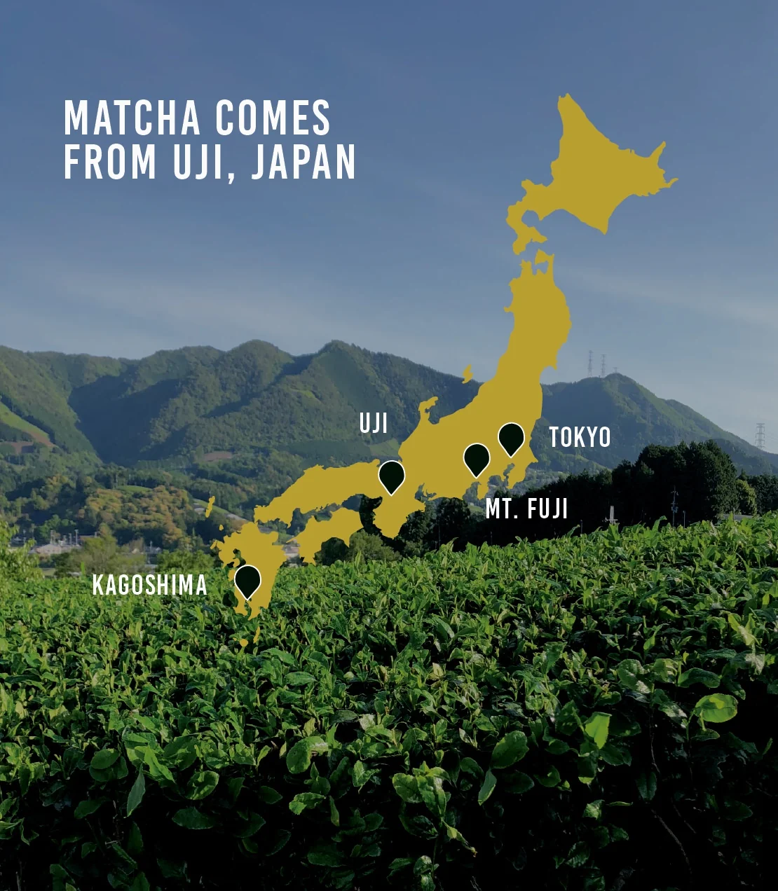 Senjunomukashi Ceremonial Matcha (Thick Grade) - Image 4
